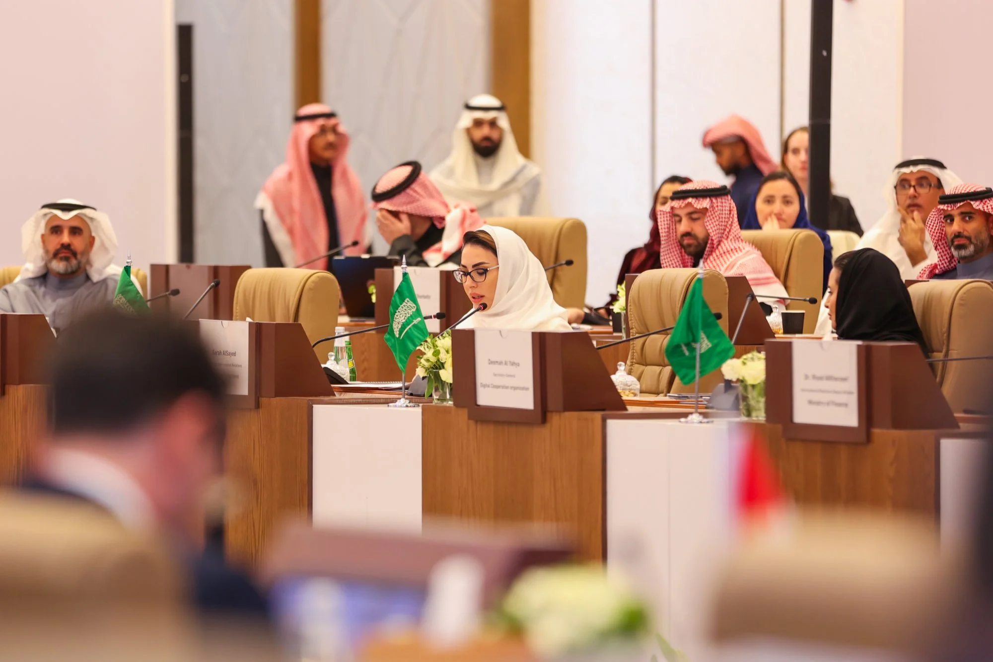Saudi-Switzerland Roundtable Meeting	